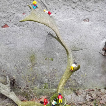 Der Kletterbaum #Schüttelreim