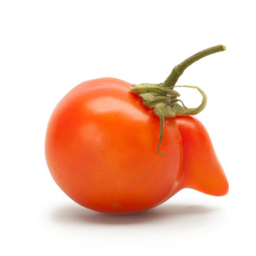 Schräges Gemüse für alle!