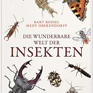 Kinderbuch der Woche: Insekten – kleine Wunder