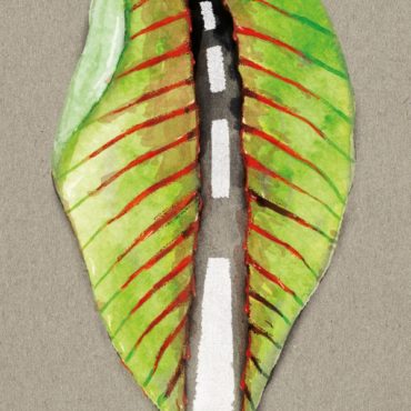 Kinderbuch der Woche: Die Gier im Regenwald