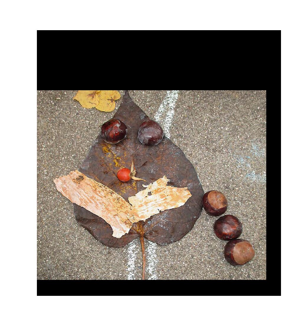 Mit der Welt sprechen lernen_Salman Ansari_Leseprobe