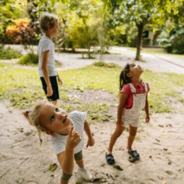 Der Wald in alten und neuen Liedern