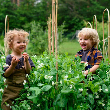 Die BNE-Brille — und was man sieht, wenn man sie putzt