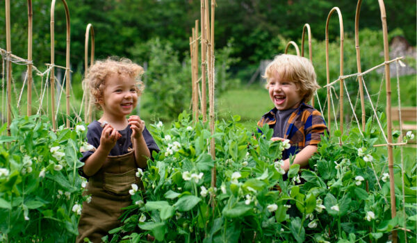 Die BNE-Brille — und was man sieht, wenn man sie putzt Erzieherin Anne Siebart erzählt im Gespräch mit Lena von wamiki, wie Nachhaltigkeit in ihrer Kita Wurzeln schlägt – Tag für Tag.