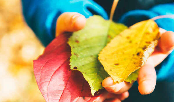 Ehrfurcht entsteht draußen Salman Ansari plädiert in seinem neuen Buch bei wamiki dafür, dass Kinder Natur erleben müssen – und Erwachsene mit ihnen.