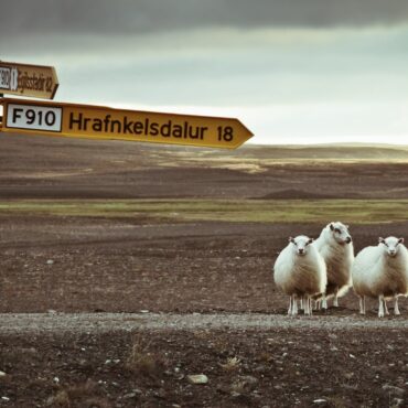 Gedicht: Ingeborg Bachmann